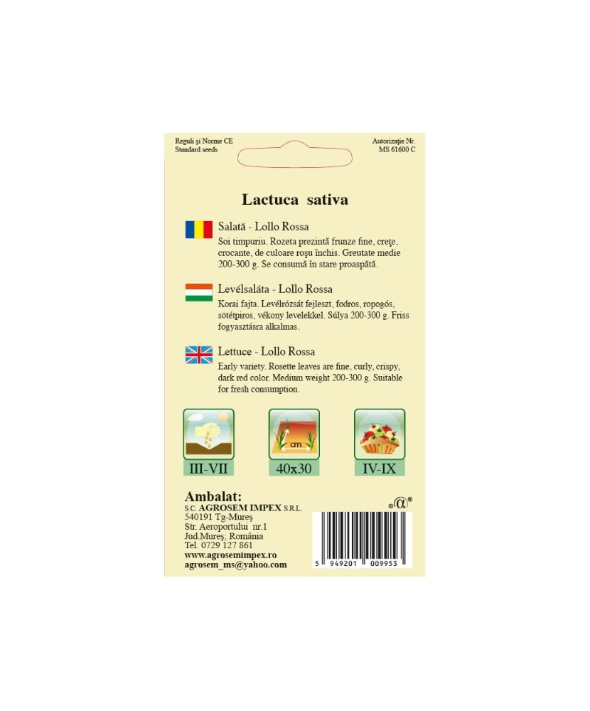 Seminte,Salata Lollo Rossa 1gr — imaginea 2