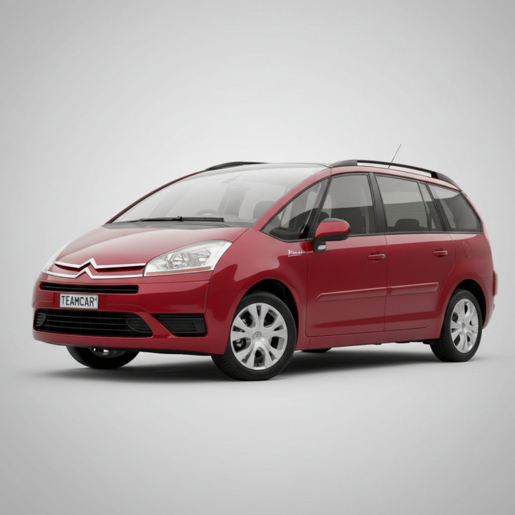 Stergatoare Citroen C4 Grand Picasso UA (2006–2008) Flat | Set fata – TeamCar®