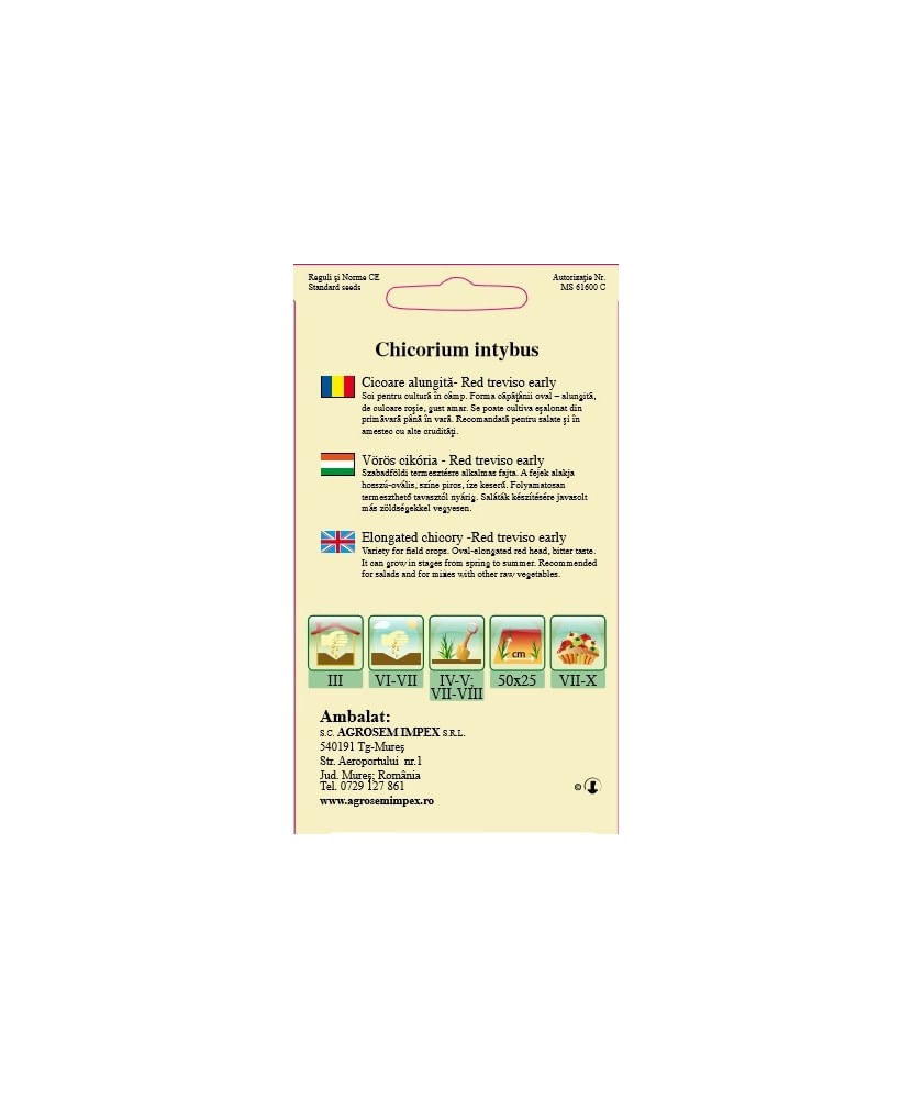 Seminte, Cicoare Red Treviso early 1gr — imaginea 2