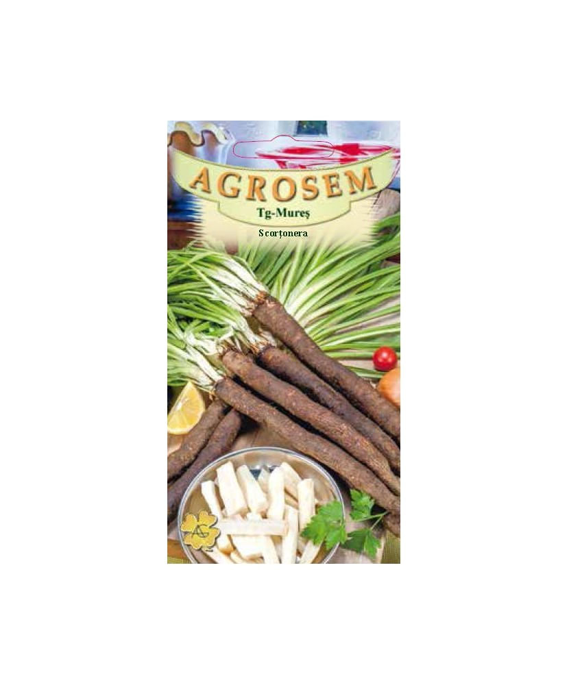Seminte, Scortonera 1gr
