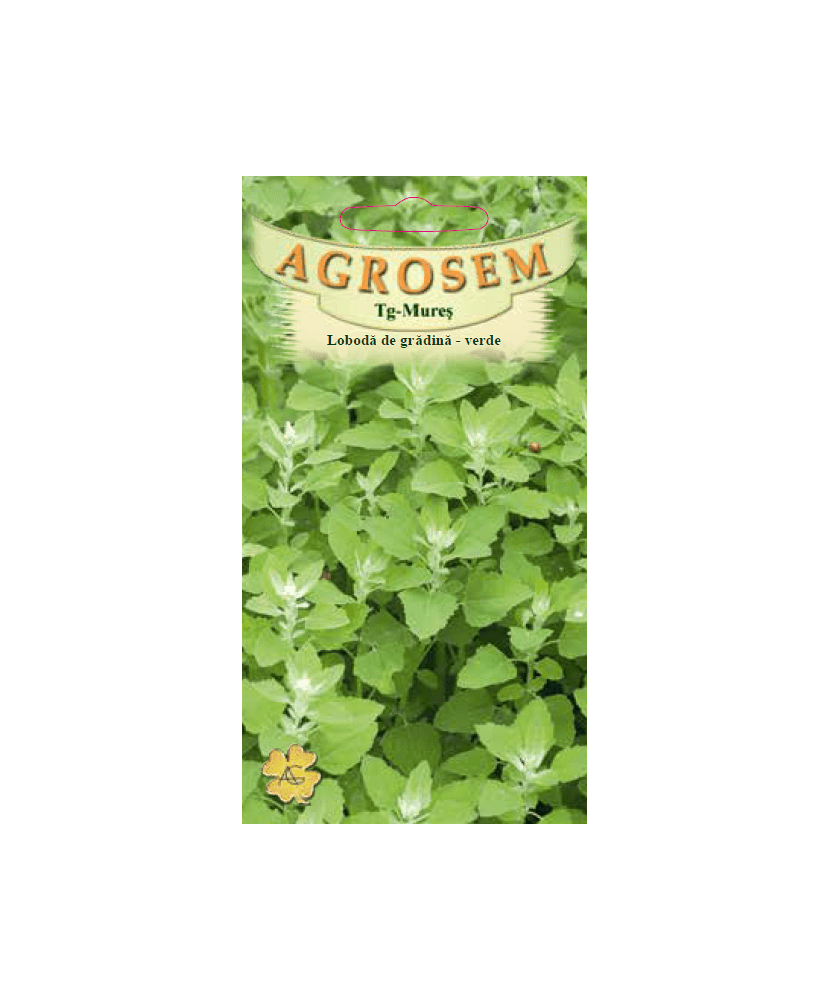 Seminte, Loboda de gradina verde 0.3gr — imaginea 2