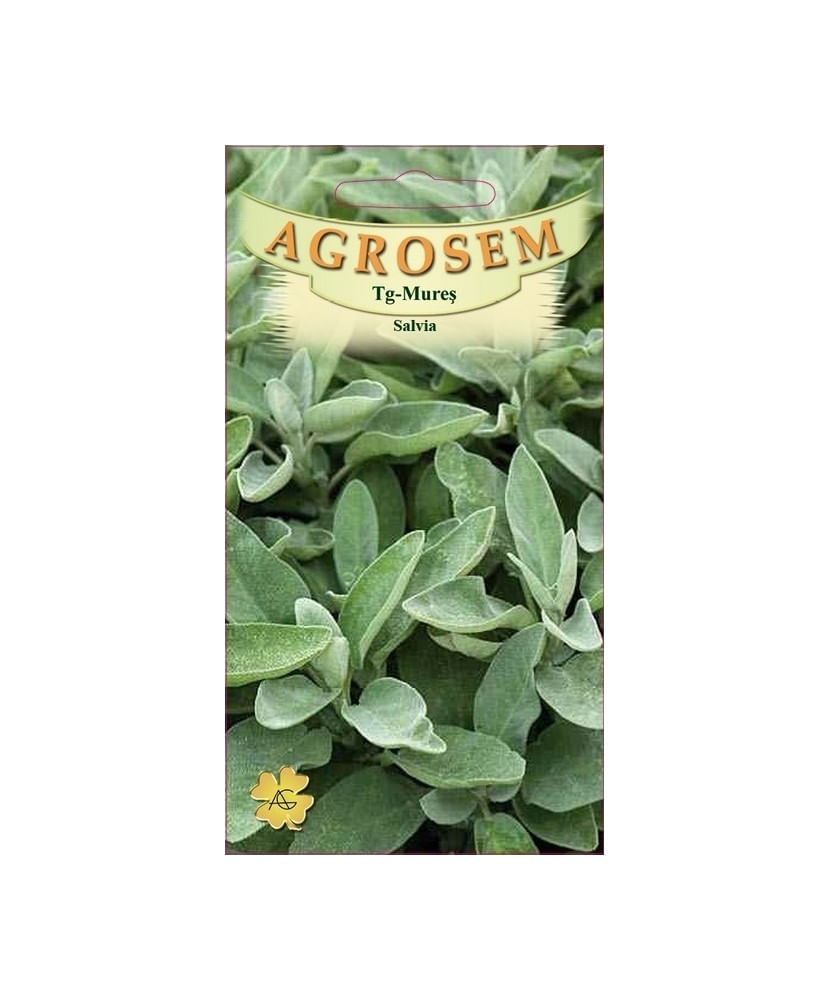 Seminte, Salvia Officinalis 0.4gr — imaginea 2