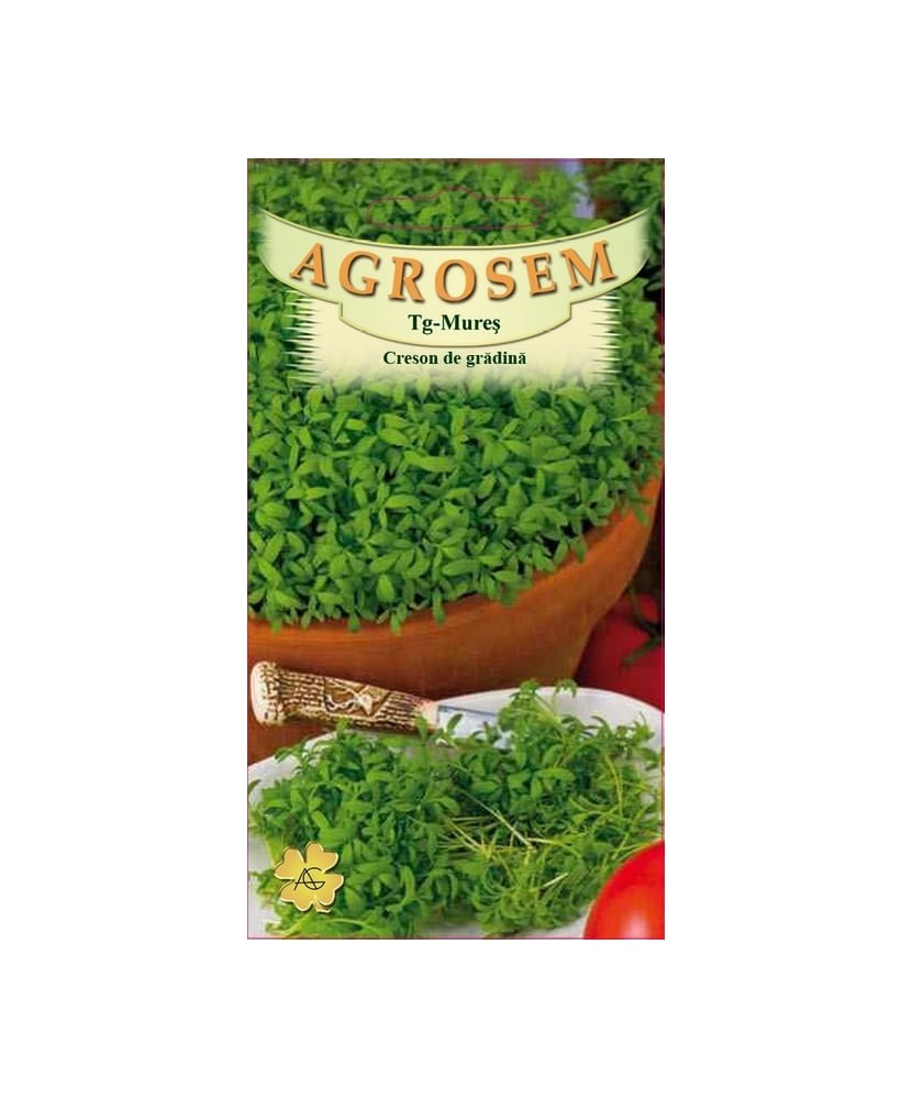 Seminte, Creson Lepidium Sativum 2gr