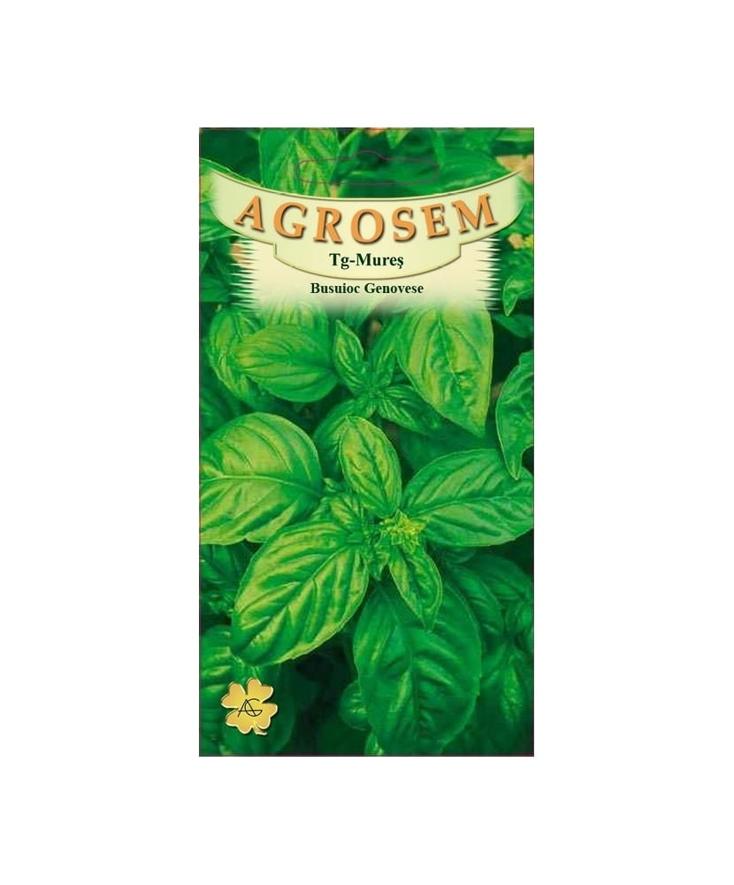 Seminte, Busuioc Genovese 1.5gr