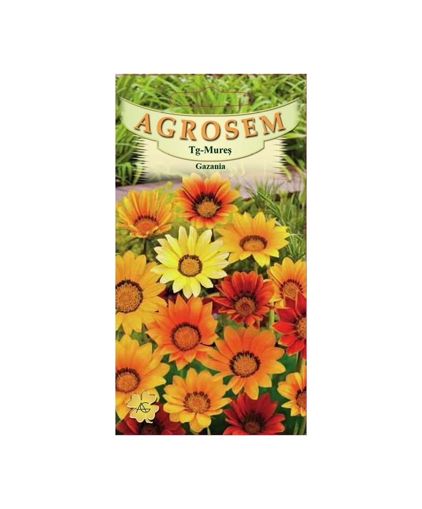 Seminte, Gazania mix 0.1gr — imaginea 2