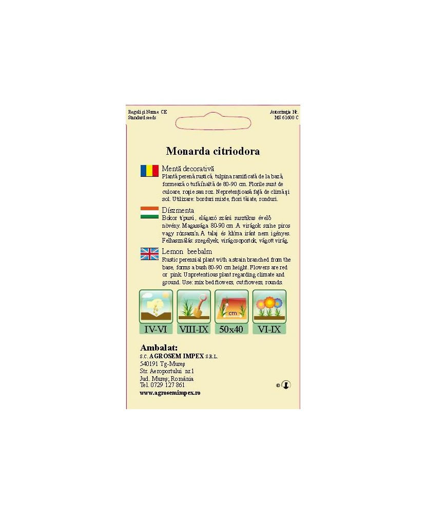 Seminte, Menta decorativa 0.1gr — imaginea 2