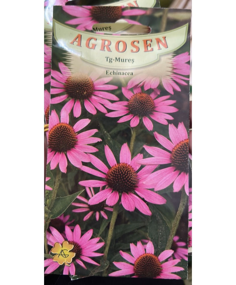 Seminte, Echinacea 0.5gr — imaginea 2
