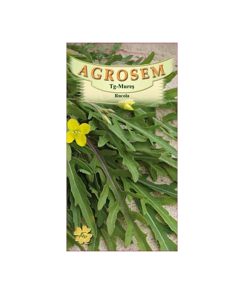 Seminte, Rucola 3gr