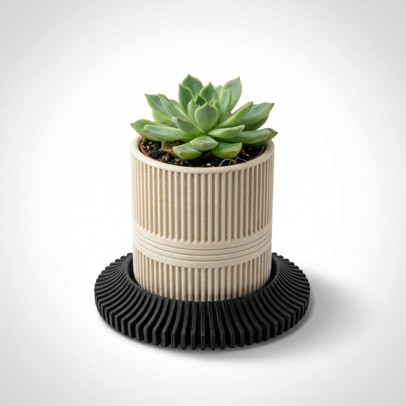 Ghiveci Decorativ Minimalist cu Farfurie Striata, Alb, 10 cm — imaginea 5