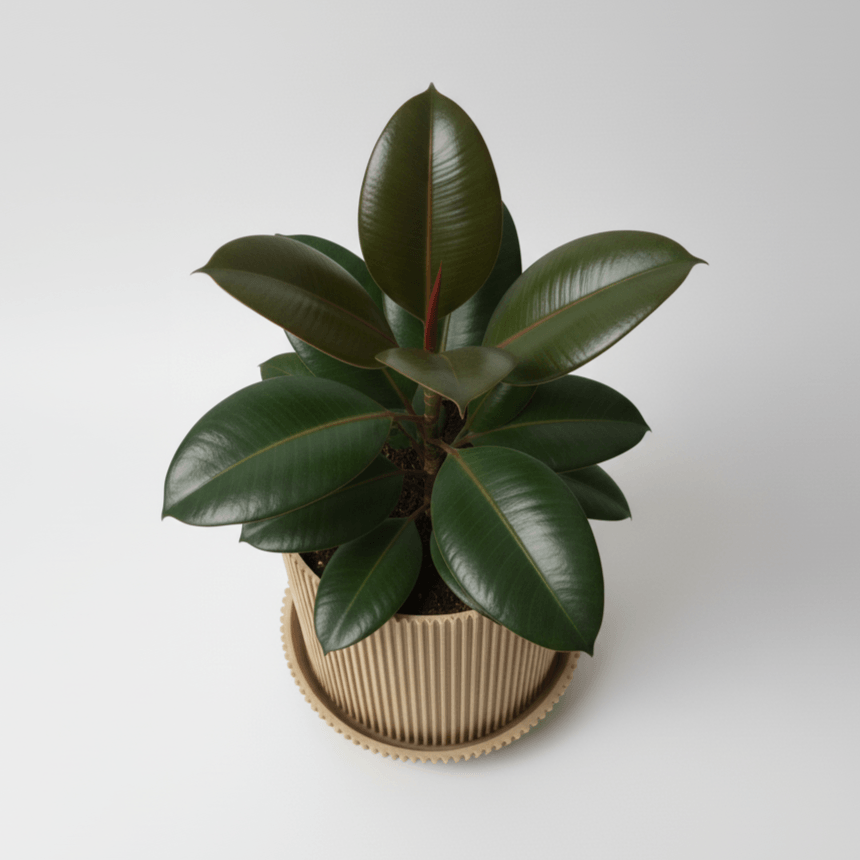 Ghiveci decorativ Vertical Lines, Desert Beige, materiale eco friendly, cu tavita lipita, plastic PLA, diametru 12cm, inaltime 15cm — imaginea 3
