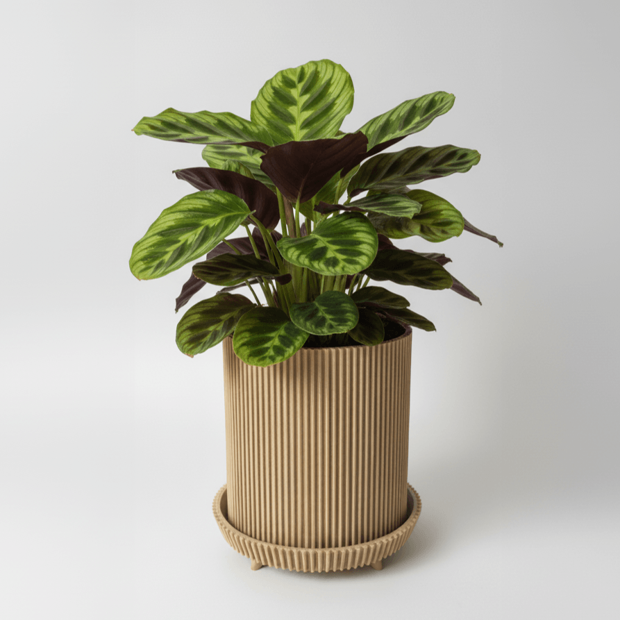 Ghiveci decorativ Vertical Lines, Desert Beige, materiale eco friendly, cu tavita lipita, plastic PLA, diametru 12cm, inaltime 15cm — imaginea 5