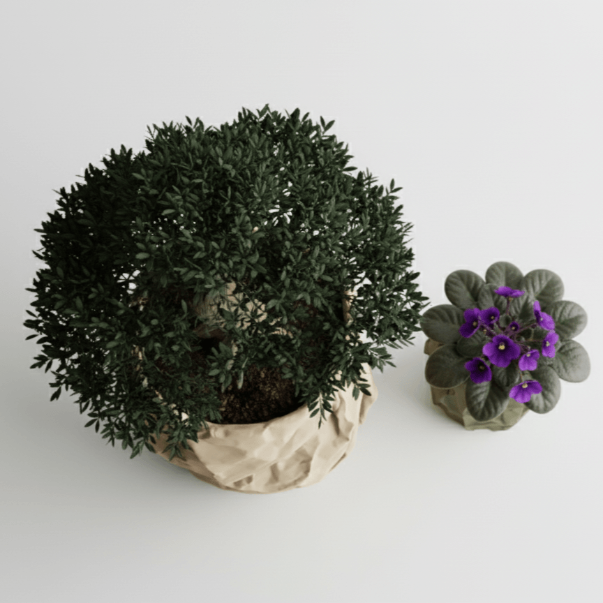 Set ghivece decorative Crumpled Design, color Sandstone Beige & Verde Oliv, plastic PLA, diametru 12cm / 8cm, inaltime 16cm / 10cm — imaginea 3