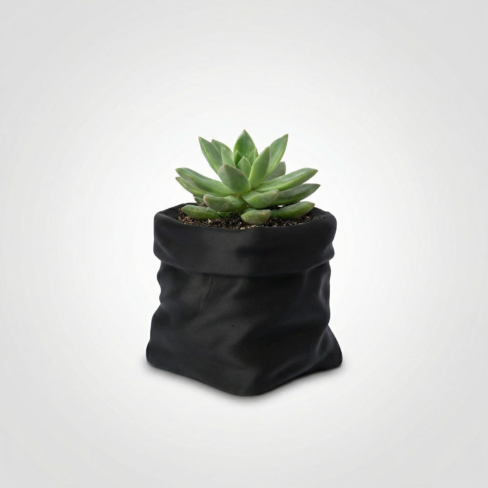 Ghiveci Decorativ cu Silueta Drapata, Negru, 13 cm — imaginea 6