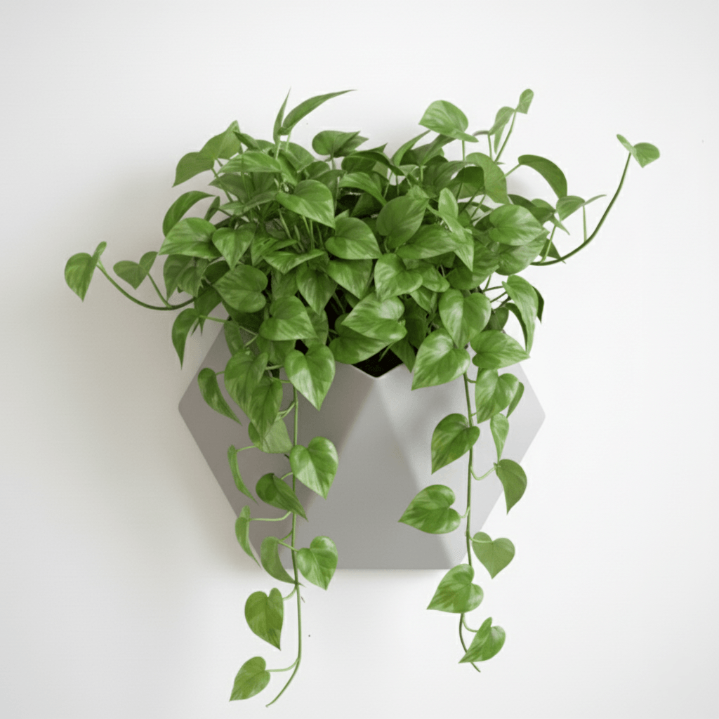 Ghiveci de perete Hexa Design, Plastic, Graphite Mist, geometric, eco friendly — imaginea 2