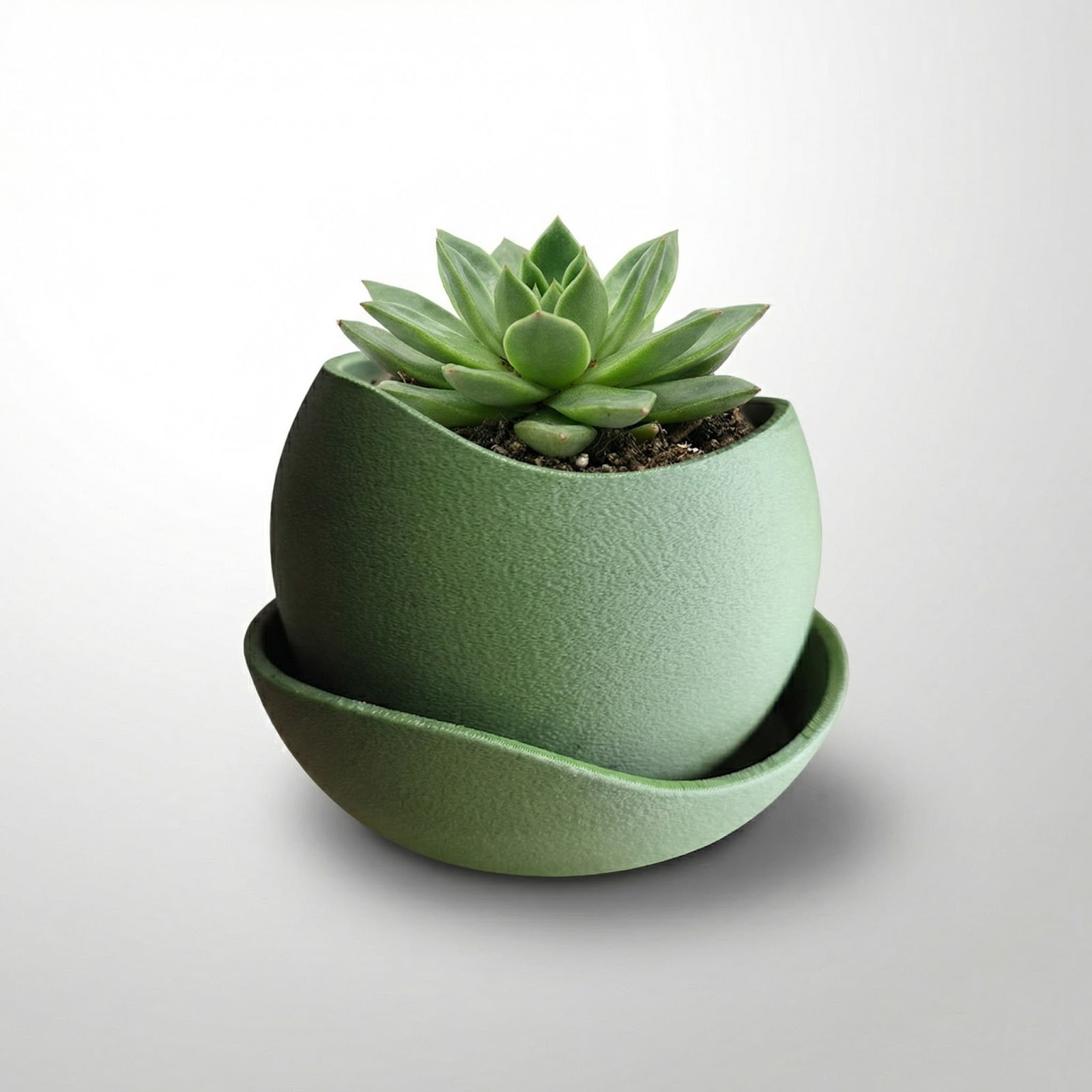 Ghiveci Decorativ cu Textura Mata si Farfurie, Verde, 17 cm — imaginea 6