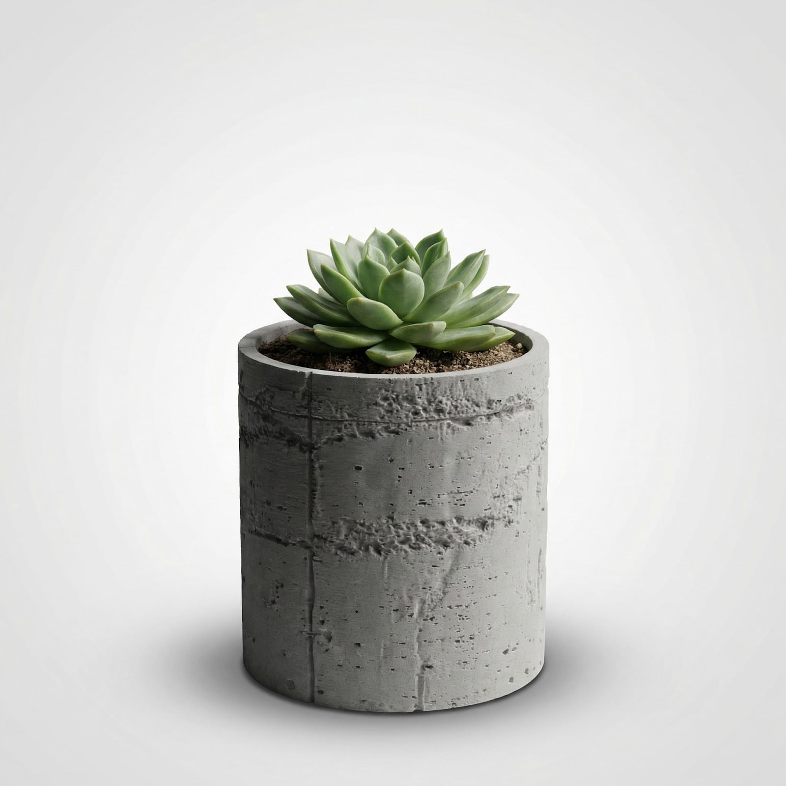 Ghiveci Decorativ cu Textura de Beton, Gri, 12 cm