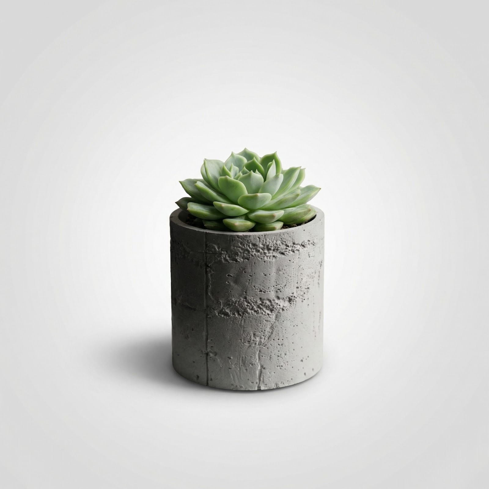 Ghiveci Decorativ cu Textura de Beton, Gri, 12 cm — imaginea 4