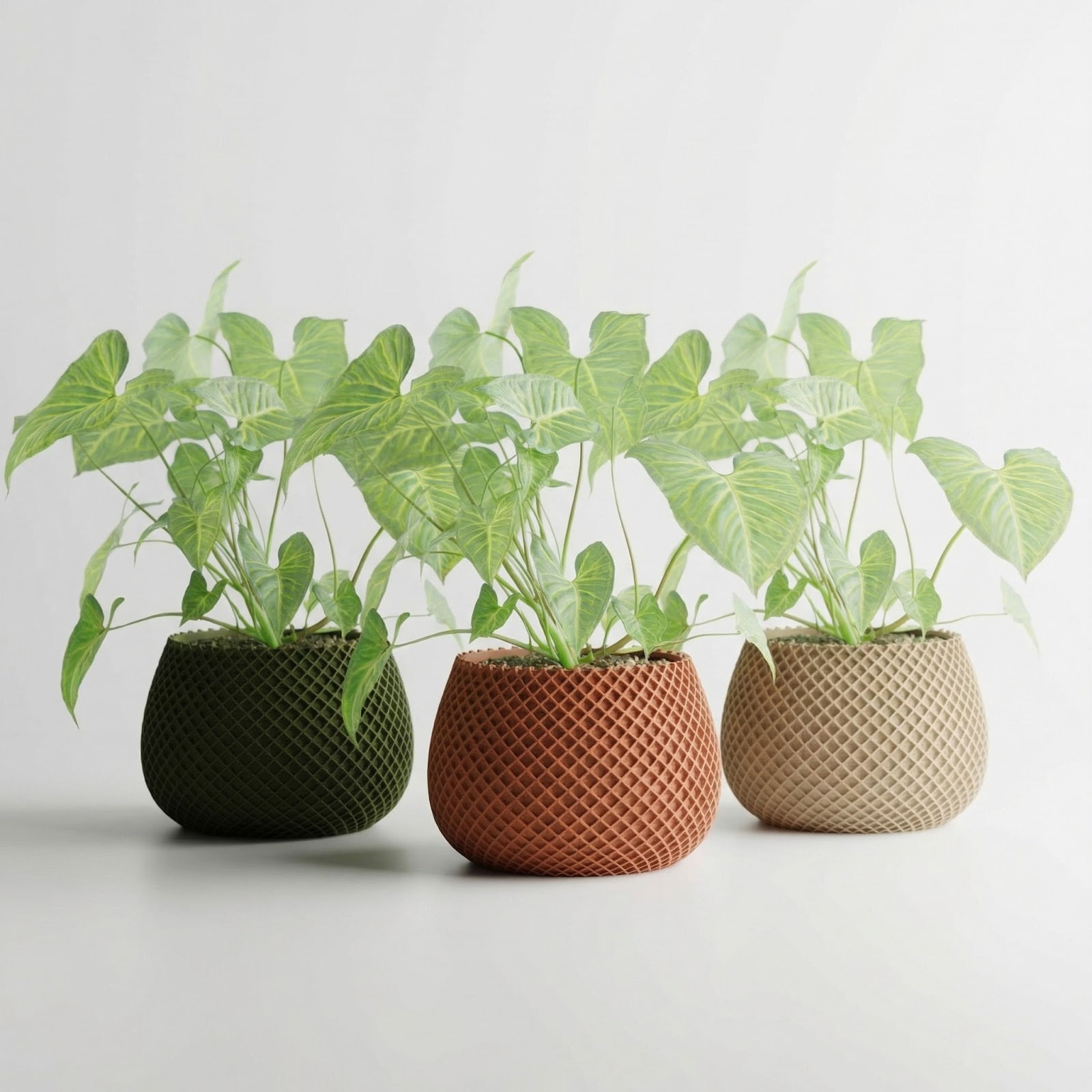 Ghiveci Decorativ cu Textura Tip Plasa, Verde Olive, 12 cm — imaginea 5