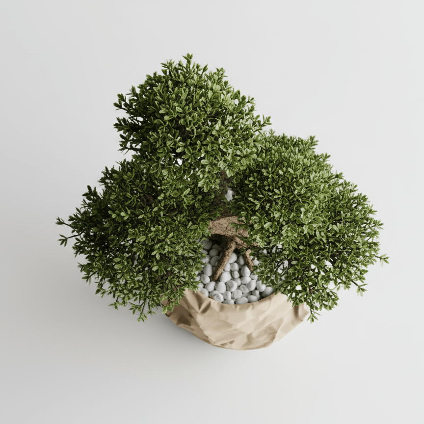 Ghiveci decorativ Crumpled Design – Culoare Sandstone Beige, plastic PLA, diametru 12cm, inaltime 16cm — imaginea 5