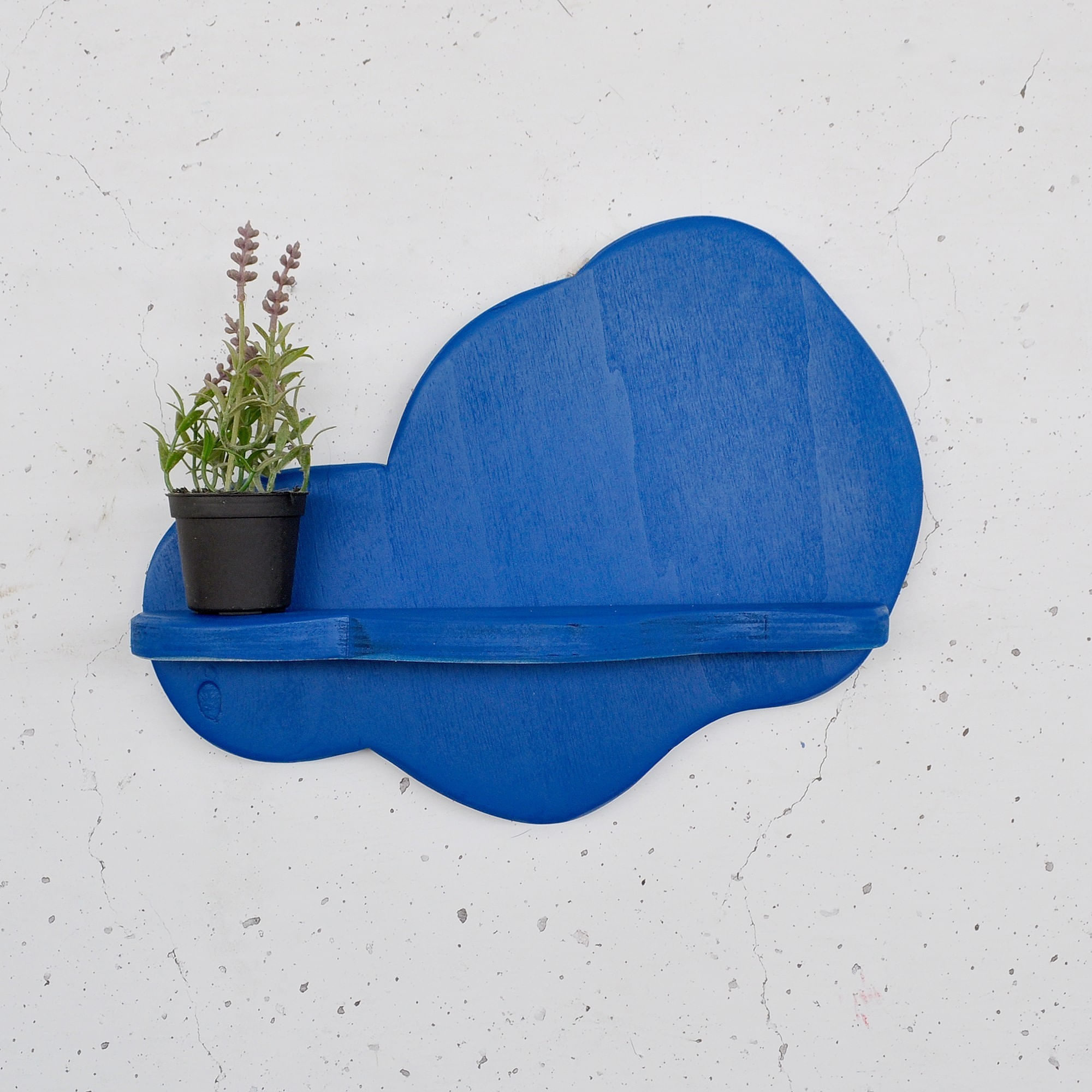 Raft decorativ lemn Hanah Home, placaj, 35 x 11 x 25 cm, albastru, 792EVL2957 — imaginea 4