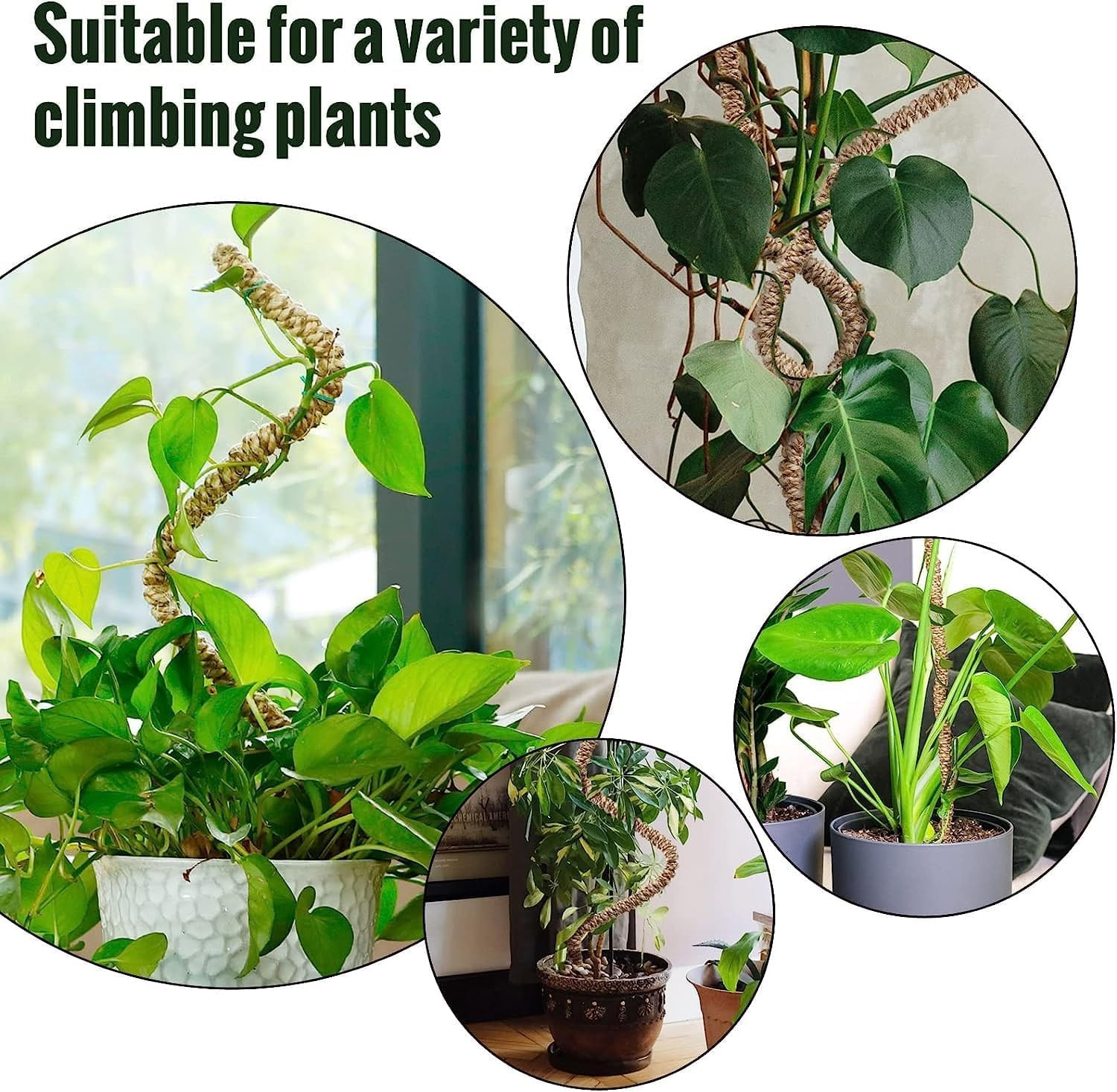 Stalpi ajustabili pentru sprijin plante de casa, set 3x76 cm — imaginea 3