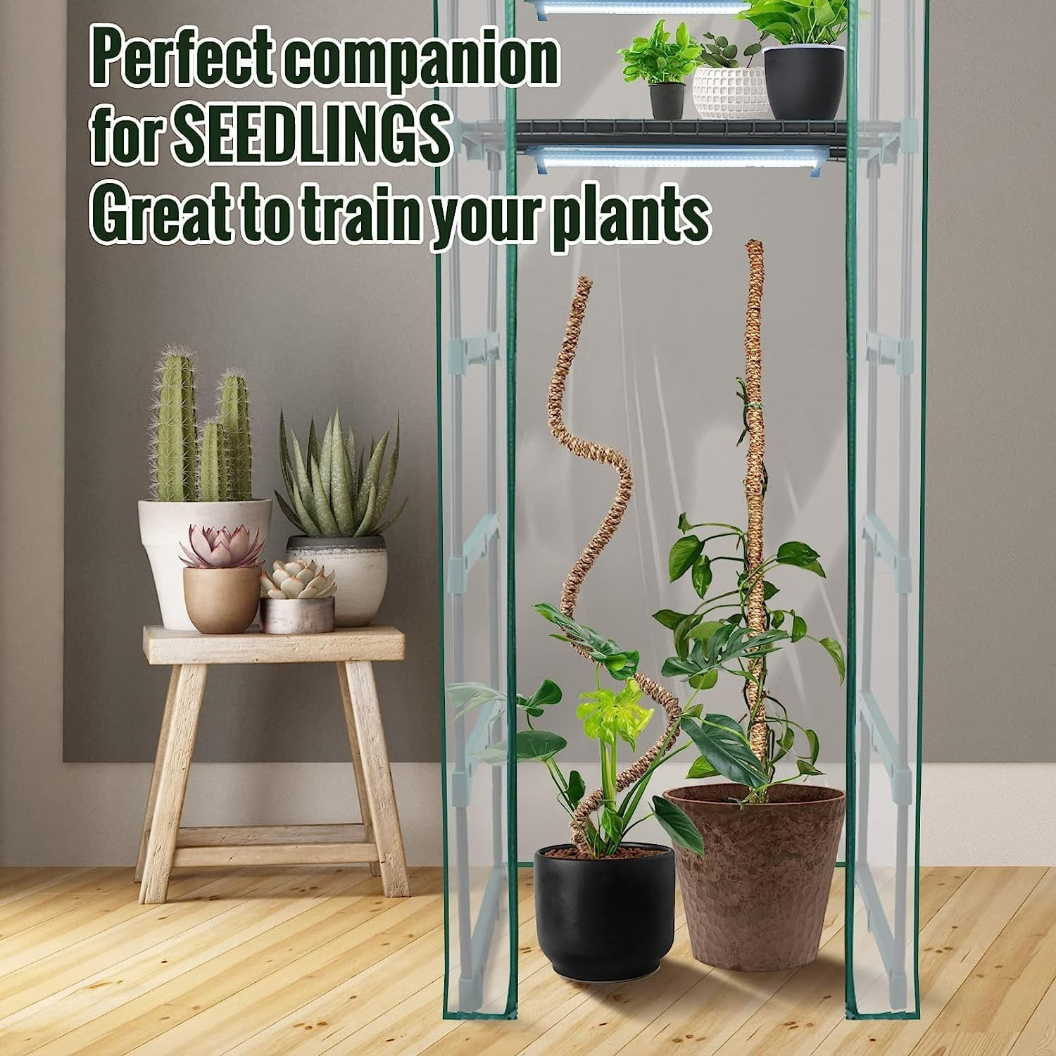 Stalpi ajustabili pentru sprijin plante de casa, set 3x76 cm — imaginea 5