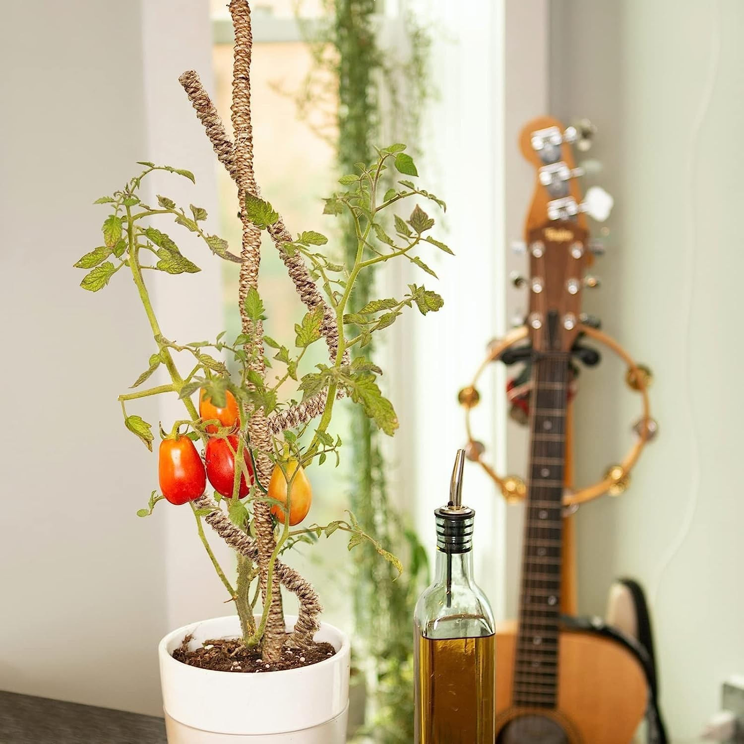 Stalpi ajustabili pentru sprijin plante de casa, set 3x76 cm — imaginea 6