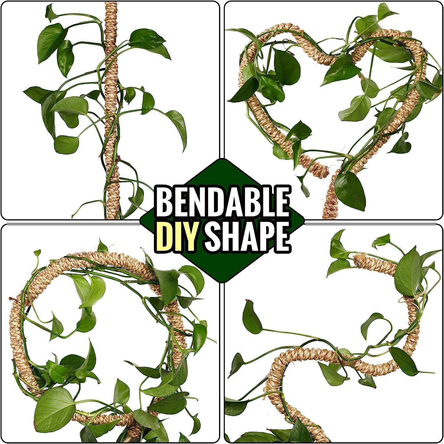 Stalpi ajustabili pentru sprijin plante de casa, set 3x76 cm — imaginea 7