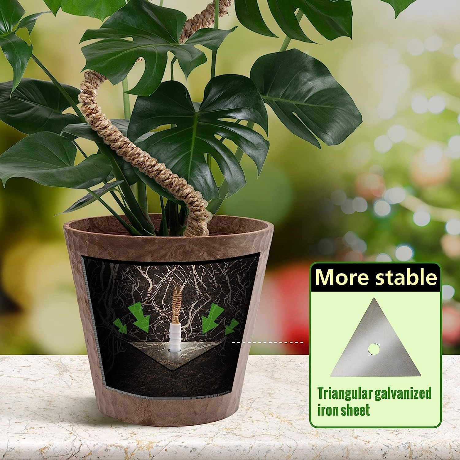 Stalpi ajustabili pentru sprijin plante de casa, set 3x76 cm — imaginea 8