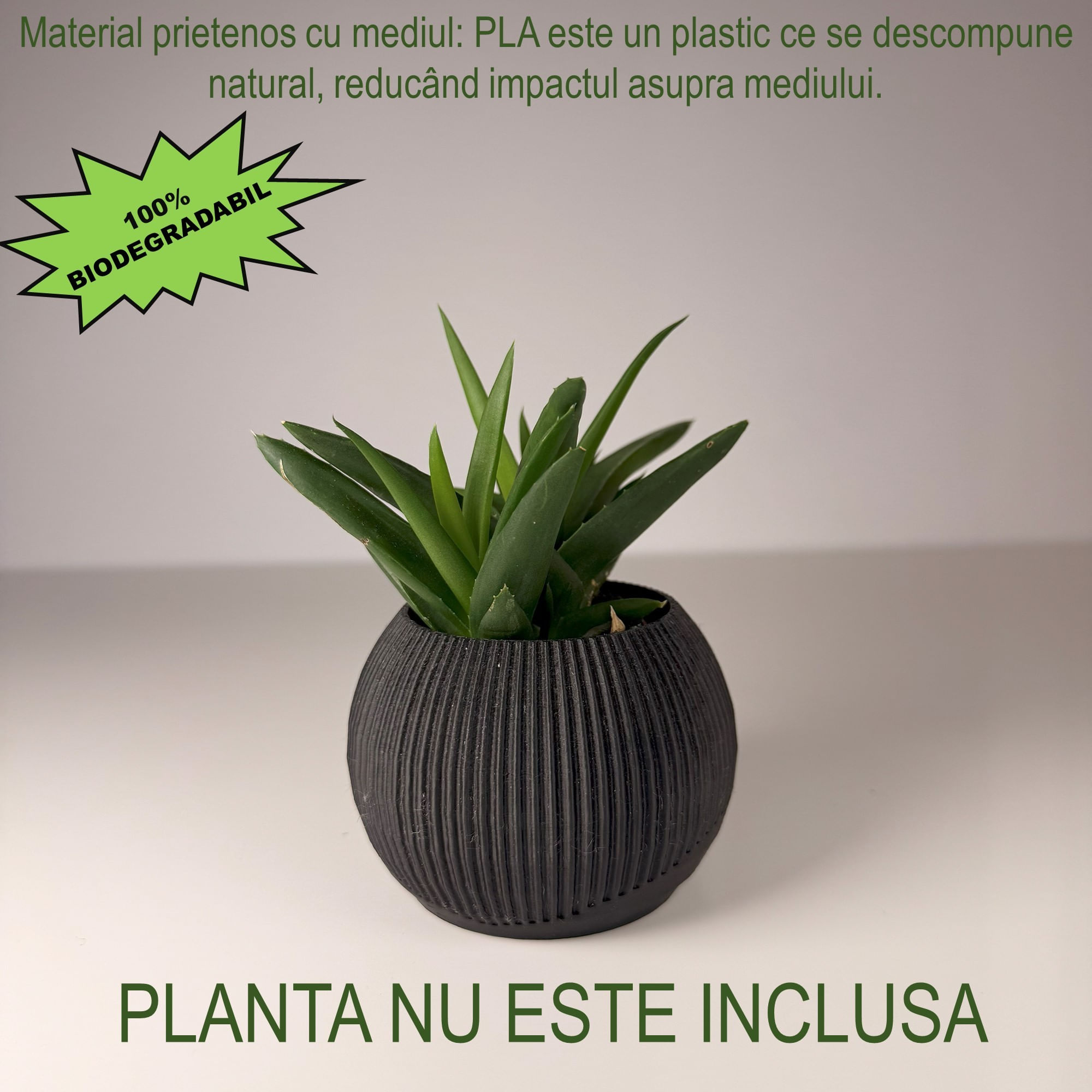 Ghiveci pentru plante mici (planta nu este inclusa), Diametru intern 6 cm, Negru — imaginea 2