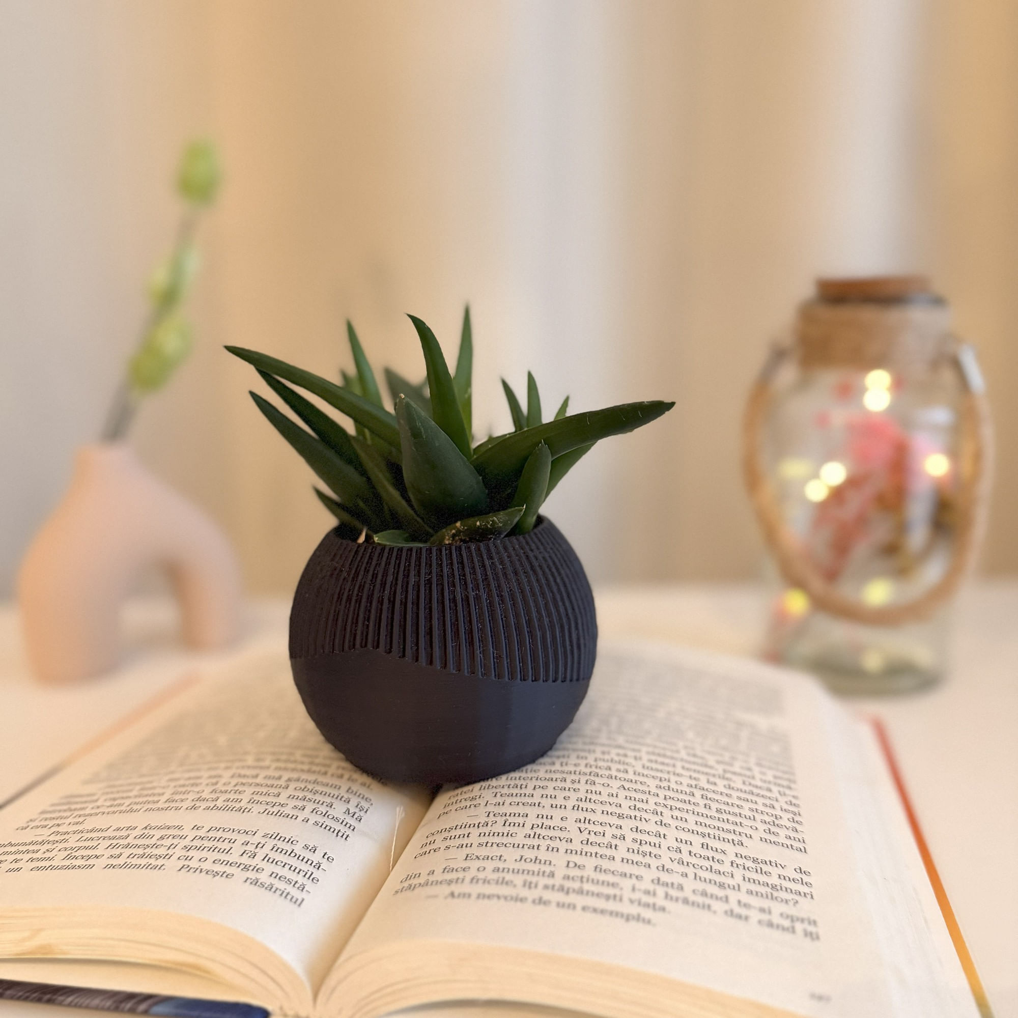 Ghiveci pentru plante mici (planta nu este inclusa), Diametru intern 6 cm, Negru — imaginea 5