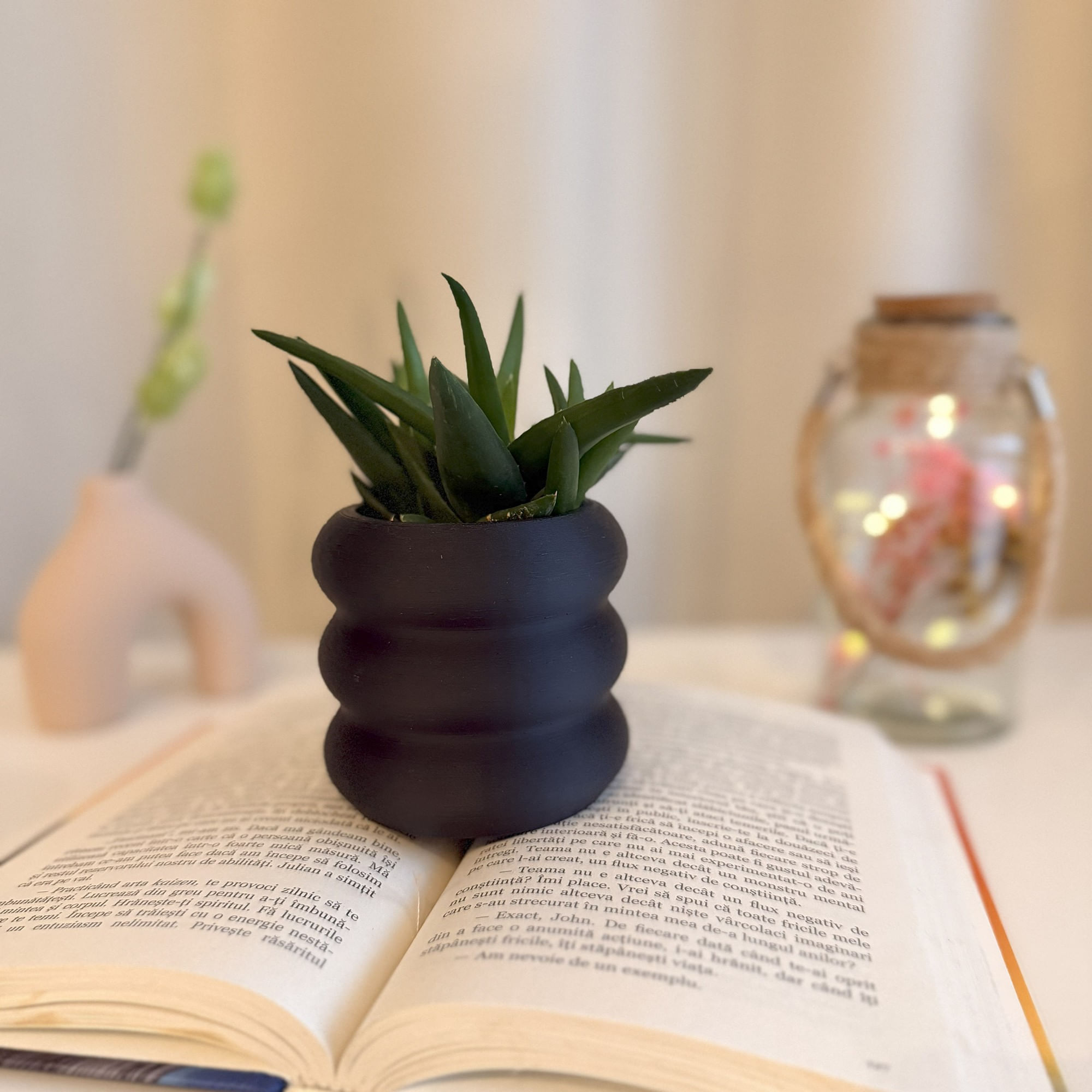Ghiveci pentru plante mici (planta nu este inclusa), Diametru intern 6 cm, Negru — imaginea 5