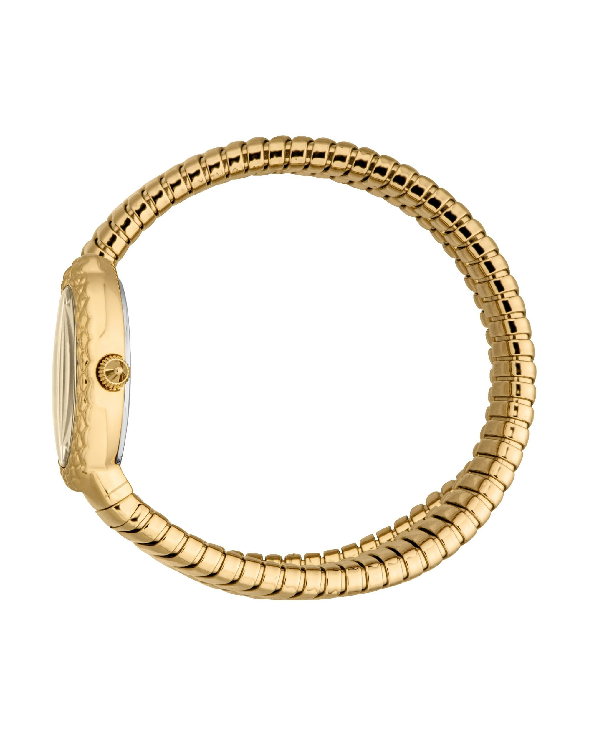 Ceas dama Just Cavalli Sognia JC1L391M0025