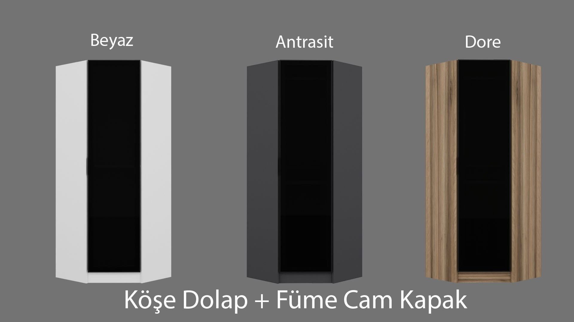 Dulap haine Kale Glass Dark gri, 74 x 210 x 52 cm, PAL melaminat, organizare haine, stejar — imaginea 3