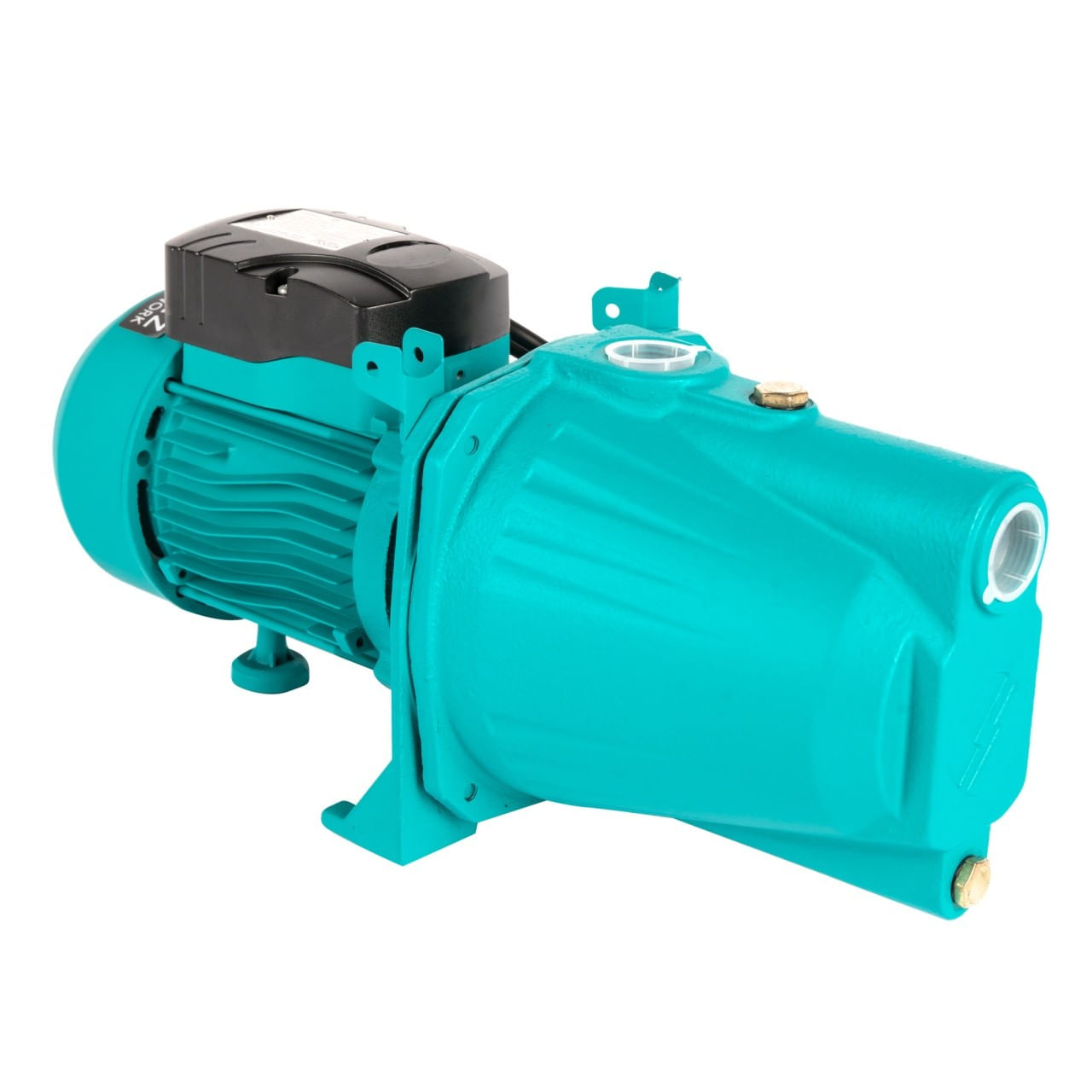 Pompa de suprafata detoolz, 0.75 kw, debit maxim 2800 l/h, inaltime maxima de pompare 43m, corp pompa fonta — imaginea 2