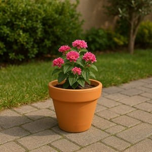 Ghiveci Ceramic Teracota Rotunde - Design Clasic pentru Plante — imaginea 2