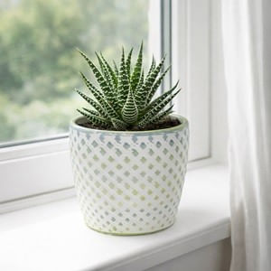 Mască ghiveci ceramică, alb-verde, 10x8 cm, 0.3 L — imaginea 2