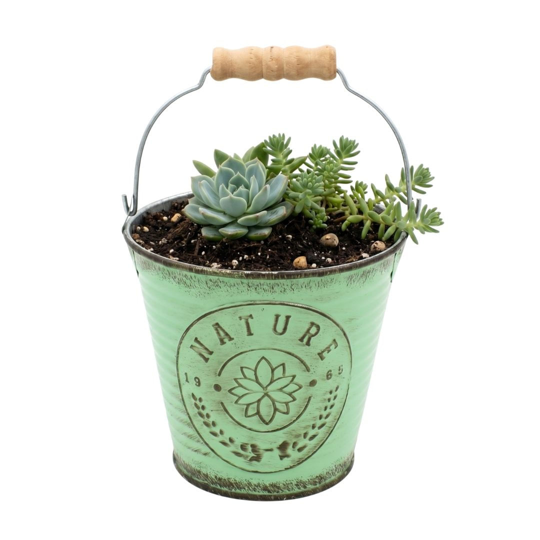 Ghiveci pentru flori tip galetusa verde 10,5cm — imaginea 4