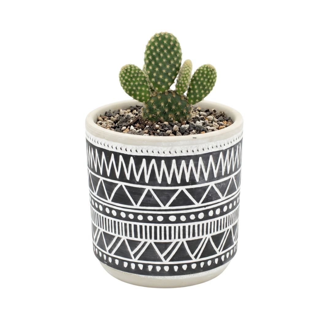Ghiveci ceramica 9x9 cm model linii simetrii — imaginea 5