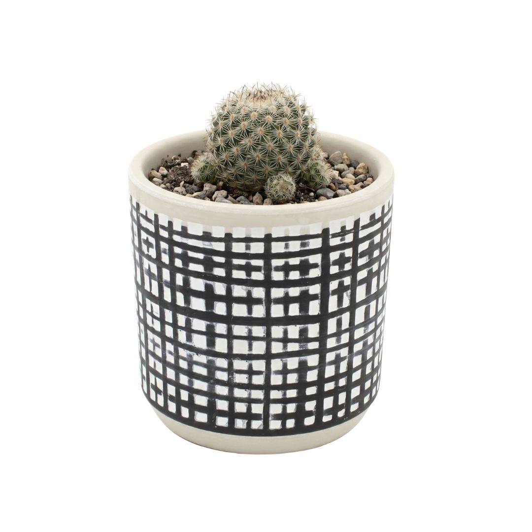 Ghiveci ceramica 9x9 cm model linii perpendiculare — imaginea 3