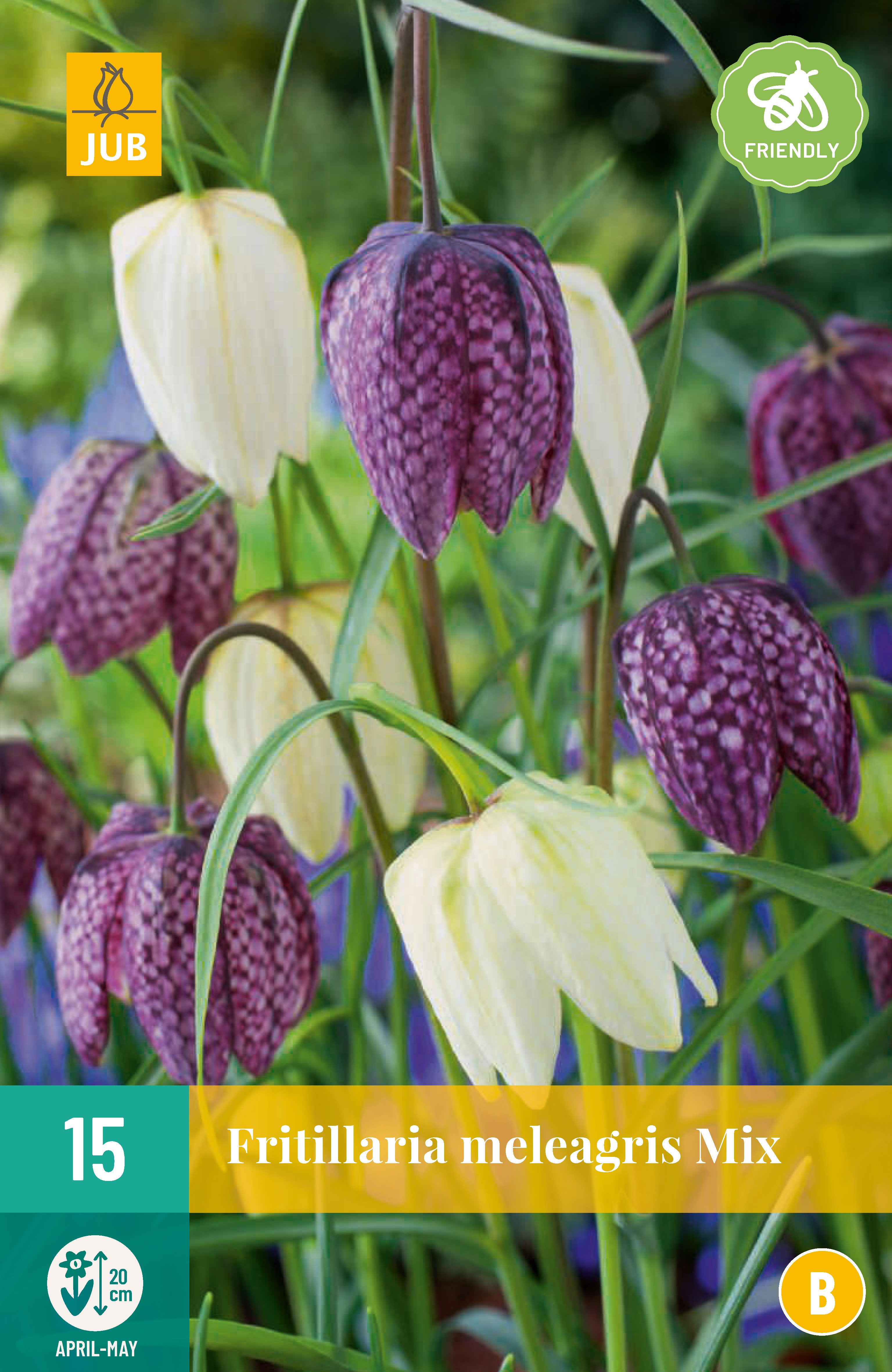 Fritillaria Meleagris Mix