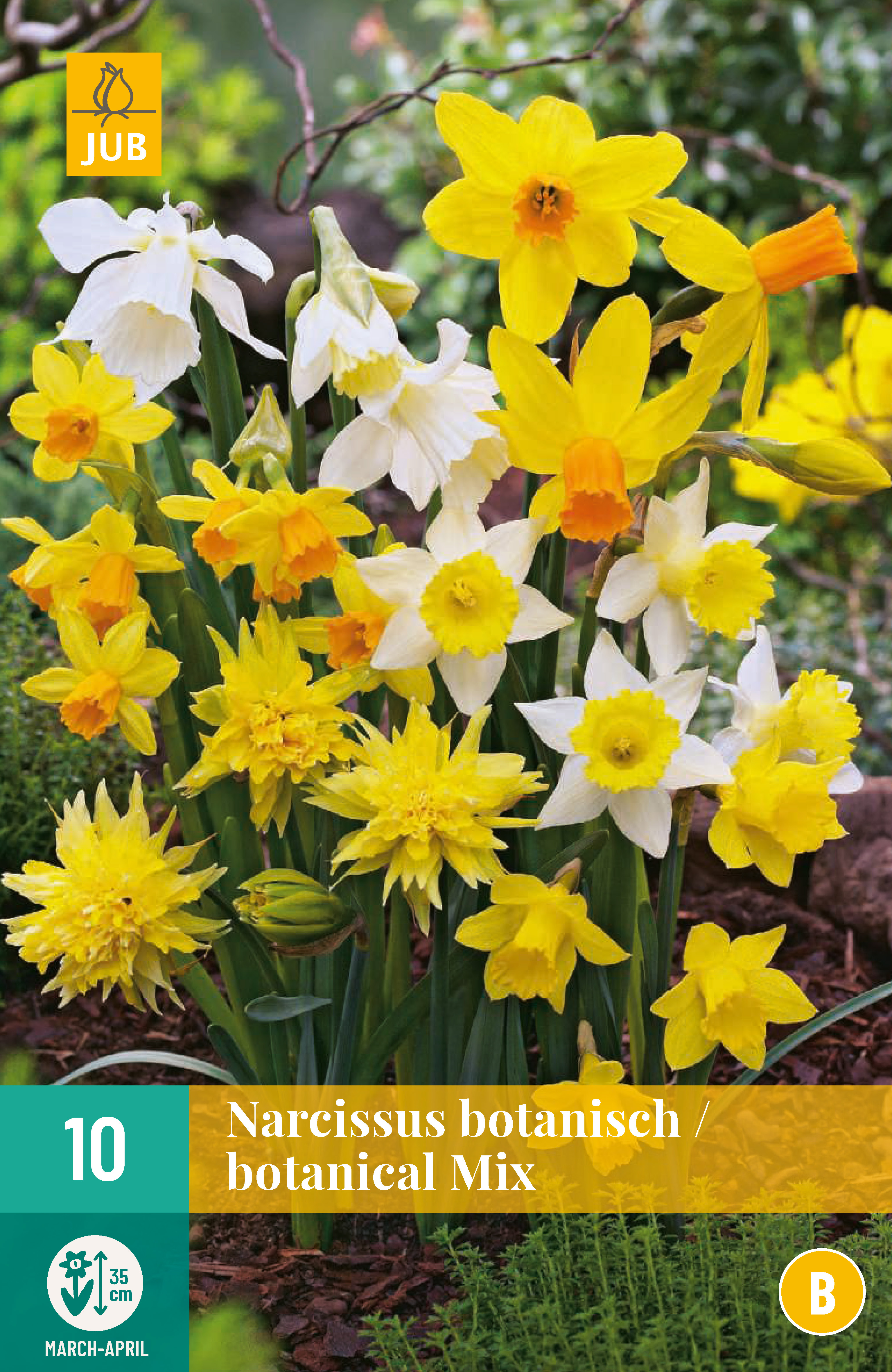 Narcise Botanical Mix