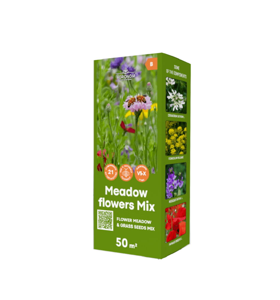 Amestec De Seminte De Flori Si Iarba Pentru Pajiste Meadow Flowers Mix