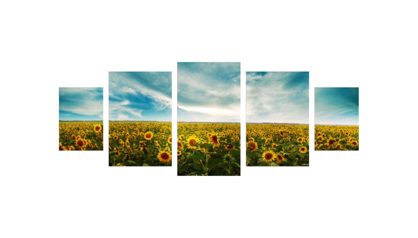 Tablou multicanvas 5 piese Campul de floarea soarelui, 220x90 cm